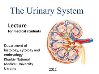 The Urinary System
Department of
histology, cytology and
embryology
Kharkiv National
Medical University
Ukraine 2012
Lecture
for medical students
 