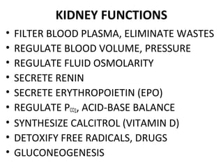 KIDNEY FUNCTIONS
• FILTER BLOOD PLASMA, ELIMINATE WASTES
• REGULATE BLOOD VOLUME, PRESSURE
• REGULATE FLUID OSMOLARITY
• SECRETE RENIN
• SECRETE ERYTHROPOIETIN (EPO)
• REGULATE PCO2, ACID-BASE BALANCE
• SYNTHESIZE CALCITROL (VITAMIN D)
• DETOXIFY FREE RADICALS, DRUGS
• GLUCONEOGENESIS
 