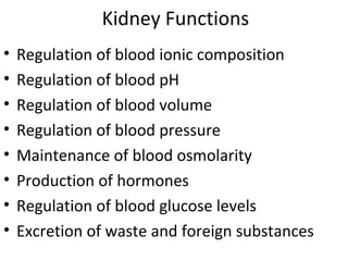 Kidney Functions
• Regulation of blood ionic composition
• Regulation of blood pH
• Regulation of blood volume
• Regulation of blood pressure
• Maintenance of blood osmolarity
• Production of hormones
• Regulation of blood glucose levels
• Excretion of waste and foreign substances
 