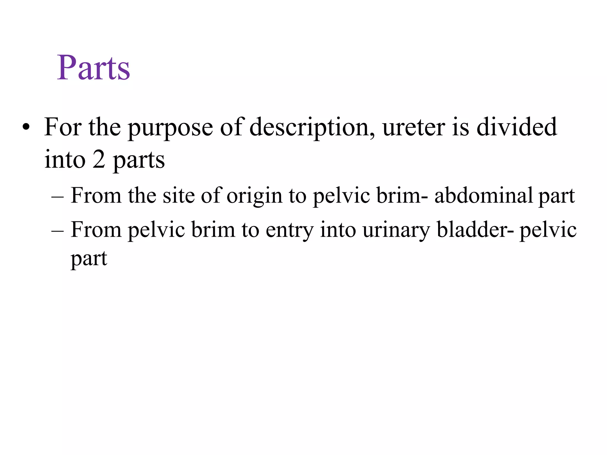 Parts
• For the purpose of description, ureter is divided
into 2 parts
– From the site of origin to pelvic brim- abdominal part
– From pelvic brim to entry into urinary bladder- pelvic
part
 