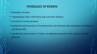PHYSIOLOGY OF KIDNEYS
• formation of urine,
• maintaining water, electrolyte and acid–base balance
• excretion of waste products
• production and secretion of erythropoietin, the hormone that stimulates formation of
red blood cells
• production and secretion of renin, an important enzyme in the control of blood
pressure
 