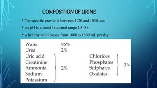 COMPOSITION OF URINE
• The specific gravity is between 1020 and 1030, and
• the pH is around 6 (normal range 4.5–8).
• A healthy adult passes from 1000 to 1500 mL per day.
 