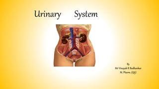 Urinary System
By
Mr Vinayak R Bodhankar
M. Pharm. (QA)
 