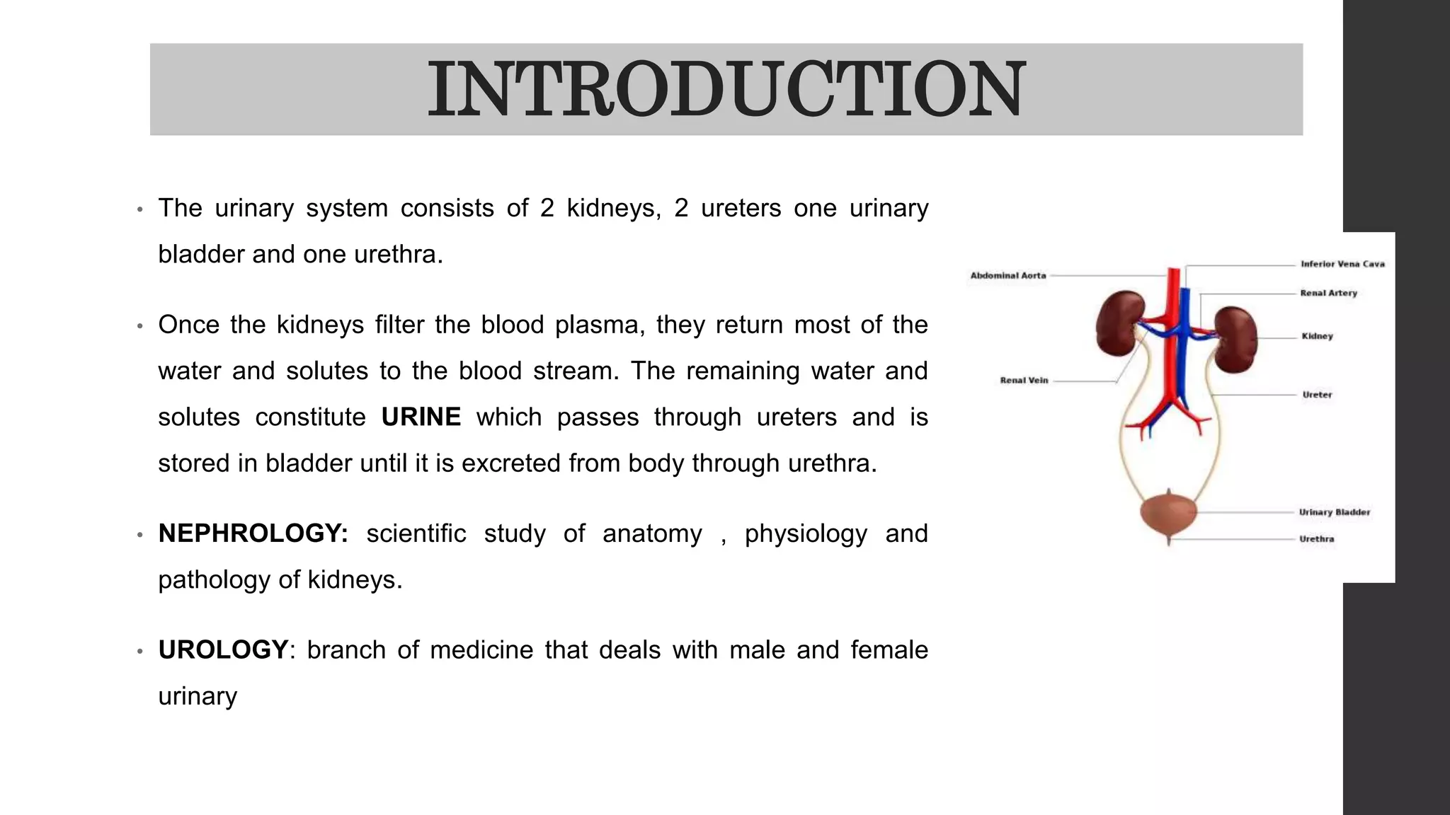 Urinary system | PPTX