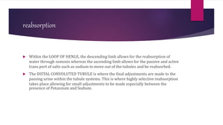 reabsorption
 Within the LOOP OF HENLE, the descending limb allows for the reabsorption of
water through osmosis whereas the ascending limb allows for the passive and active
trans port of salts such as sodium to move out of the tubules and be reabsorbed.
 The DISTAL CONVOLUTED TUBULE is where the final adjustments are made to the
passing urine within the tubule systems. This is where highly selective reabsorption
takes place allowing for small adjustments to be made especially between the
presence of Potassium and Sodium.
 