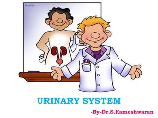 URINARY SYSTEM
-By-Dr.S.Kameshwaran
 