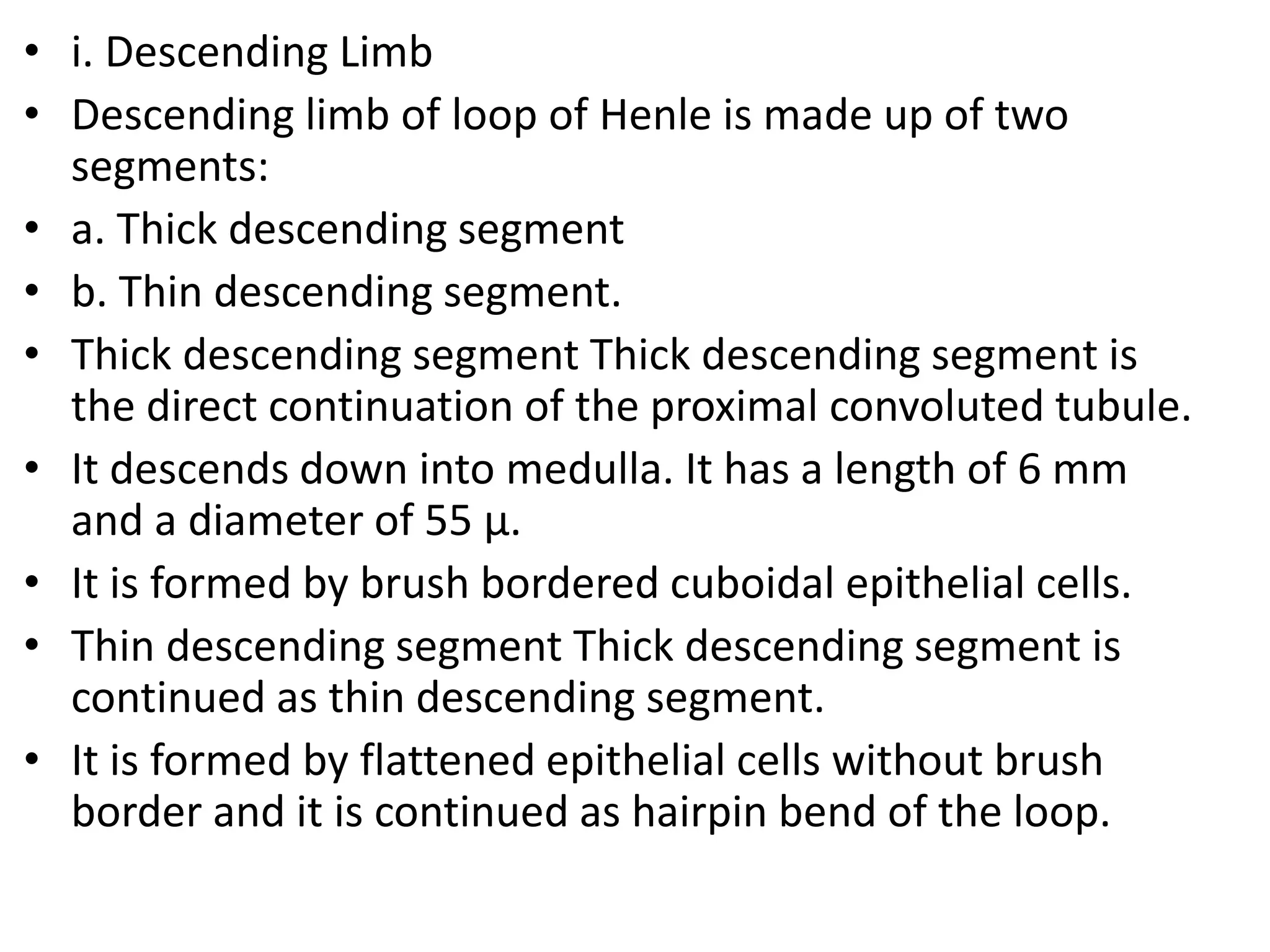 • i. Descending Limb
• Descending limb of loop of Henle is made up of two
segments:
• a. Thick descending segment
• b. Thin descending segment.
• Thick descending segment Thick descending segment is
the direct continuation of the proximal convoluted tubule.
• It descends down into medulla. It has a length of 6 mm
and a diameter of 55 µ.
• It is formed by brush bordered cuboidal epithelial cells.
• Thin descending segment Thick descending segment is
continued as thin descending segment.
• It is formed by flattened epithelial cells without brush
border and it is continued as hairpin bend of the loop.
 