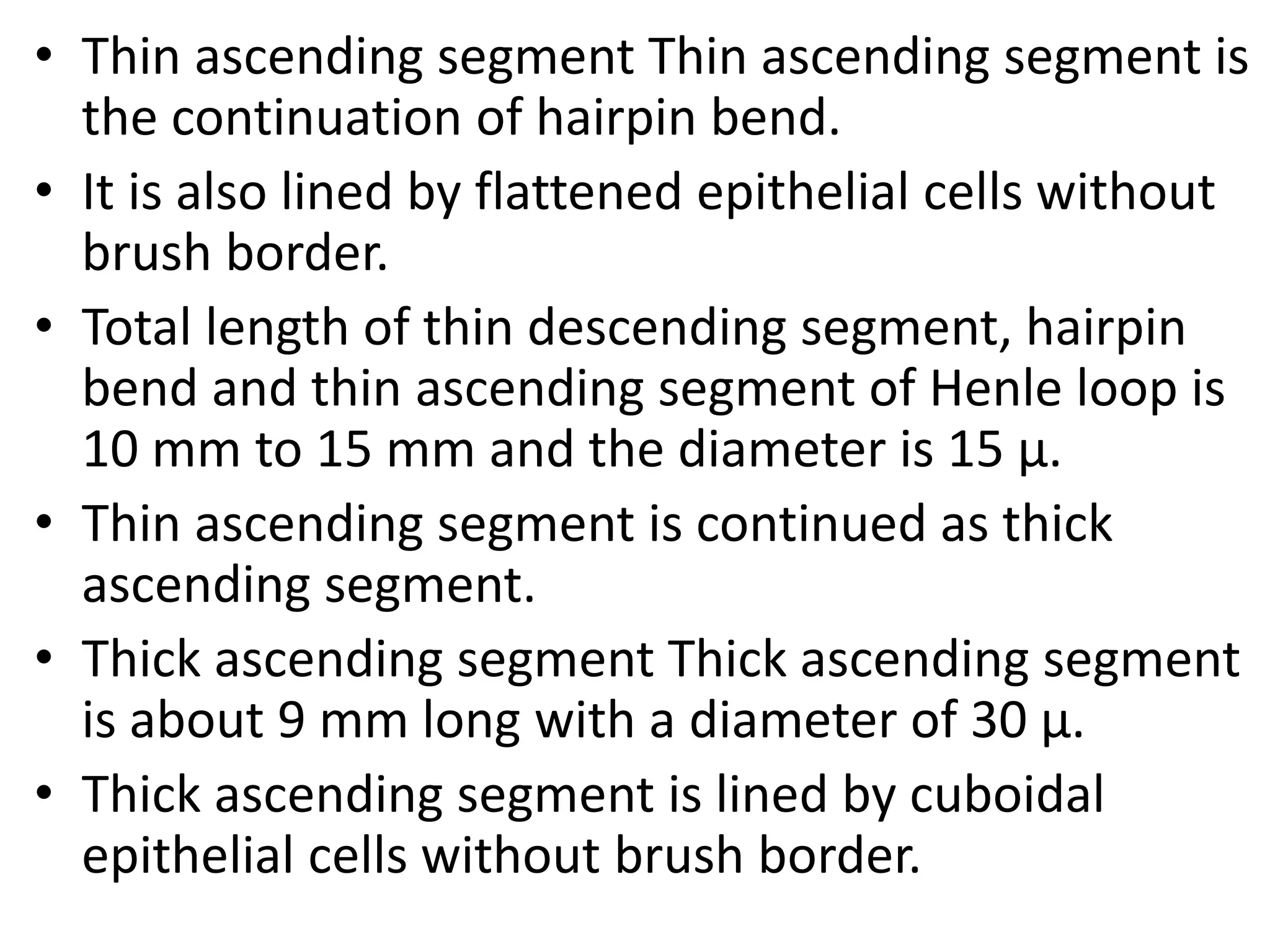 • Thin ascending segment Thin ascending segment is
the continuation of hairpin bend.
• It is also lined by flattened epithelial cells without
brush border.
• Total length of thin descending segment, hairpin
bend and thin ascending segment of Henle loop is
10 mm to 15 mm and the diameter is 15 µ.
• Thin ascending segment is continued as thick
ascending segment.
• Thick ascending segment Thick ascending segment
is about 9 mm long with a diameter of 30 µ.
• Thick ascending segment is lined by cuboidal
epithelial cells without brush border.
 