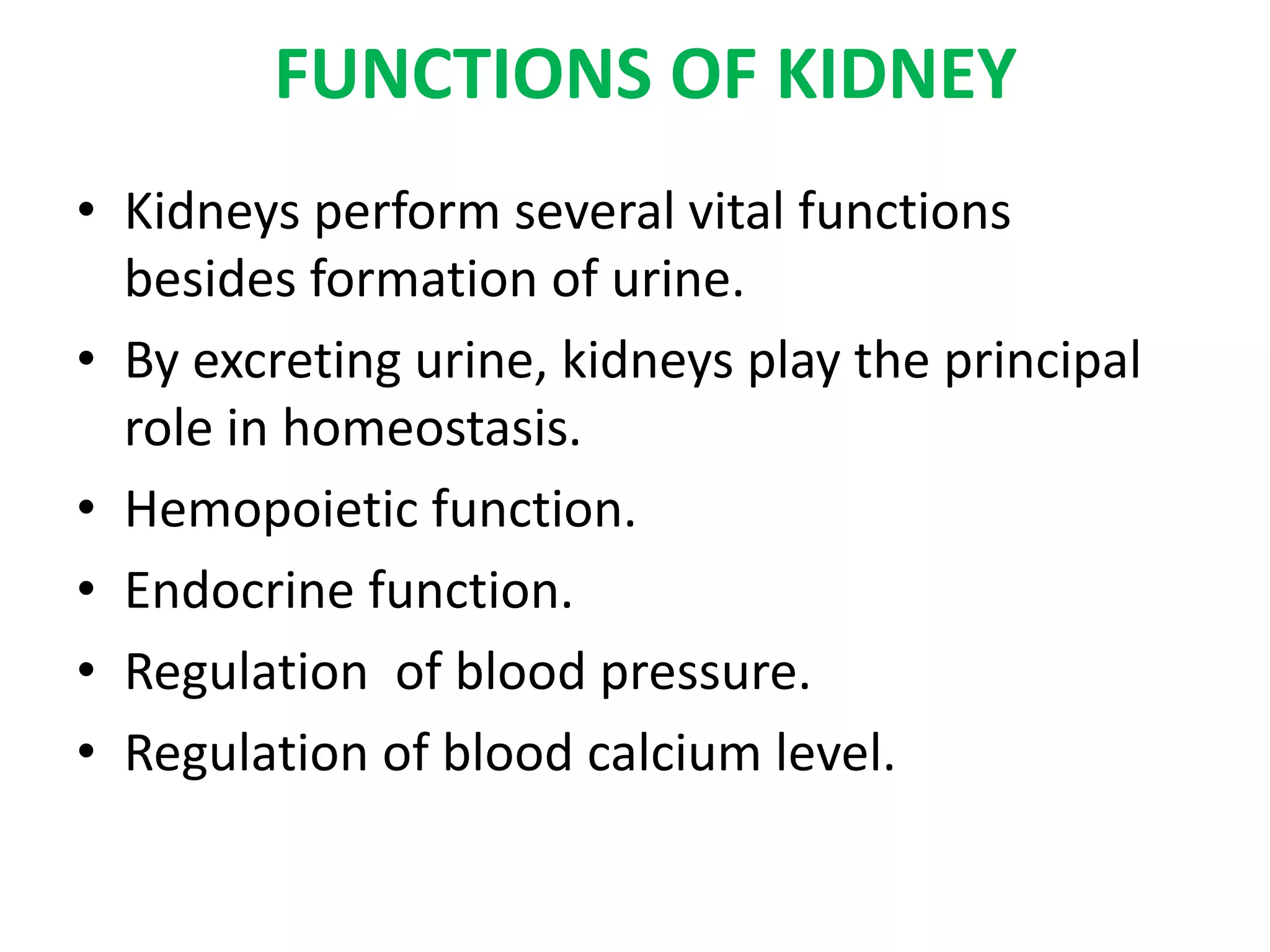 FUNCTIONS OF KIDNEY
• Kidneys perform several vital functions
besides formation of urine.
• By excreting urine, kidneys play the principal
role in homeostasis.
• Hemopoietic function.
• Endocrine function.
• Regulation of blood pressure.
• Regulation of blood calcium level.
 