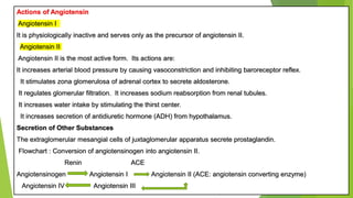 Actions of Angiotensin
Angiotensin I
It is physiologically inactive and serves only as the precursor of angiotensin II.
Angiotensin II
Angiotensin II is the most active form. Its actions are:
It increases arterial blood pressure by causing vasoconstriction and inhibiting baroreceptor reflex.
It stimulates zona glomerulosa of adrenal cortex to secrete aldosterone.
It regulates glomerular filtration. It increases sodium reabsorption from renal tubules.
It increases water intake by stimulating the thirst center.
It increases secretion of antidiuretic hormone (ADH) from hypothalamus.
Secretion of Other Substances
The extraglomerular mesangial cells of juxtaglomerular apparatus secrete prostaglandin.
Flowchart : Conversion of angiotensinogen into angiotensin II.
Renin ACE
Angiotensinogen Angiotensin I Angiotensin II (ACE: angiotensin converting enzyme)
Angiotensin IV Angiotensin III
 