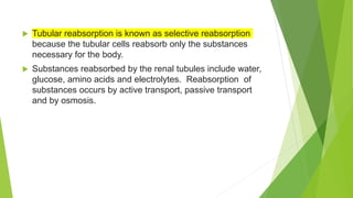  Tubular reabsorption is known as selective reabsorption
because the tubular cells reabsorb only the substances
necessary for the body.
 Substances reabsorbed by the renal tubules include water,
glucose, amino acids and electrolytes. Reabsorption of
substances occurs by active transport, passive transport
and by osmosis.
 