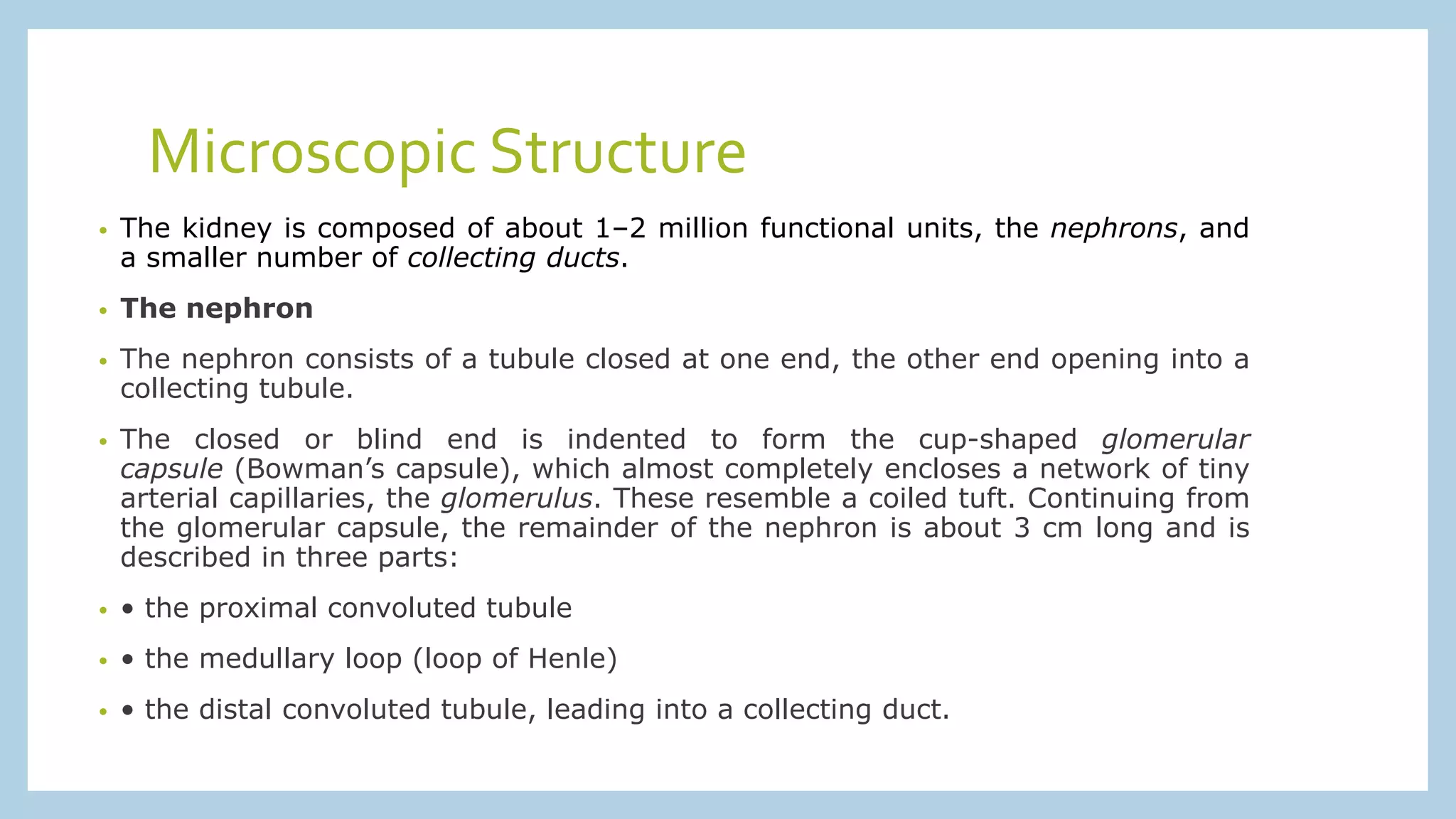Microscopic Structure
• The kidney is composed of about 1–2 million functional units, the nephrons, and
a smaller number of collecting ducts.
• The nephron
• The nephron consists of a tubule closed at one end, the other end opening into a
collecting tubule.
• The closed or blind end is indented to form the cup-shaped glomerular
capsule (Bowman’s capsule), which almost completely encloses a network of tiny
arterial capillaries, the glomerulus. These resemble a coiled tuft. Continuing from
the glomerular capsule, the remainder of the nephron is about 3 cm long and is
described in three parts:
• • the proximal convoluted tubule
• • the medullary loop (loop of Henle)
• • the distal convoluted tubule, leading into a collecting duct.
 