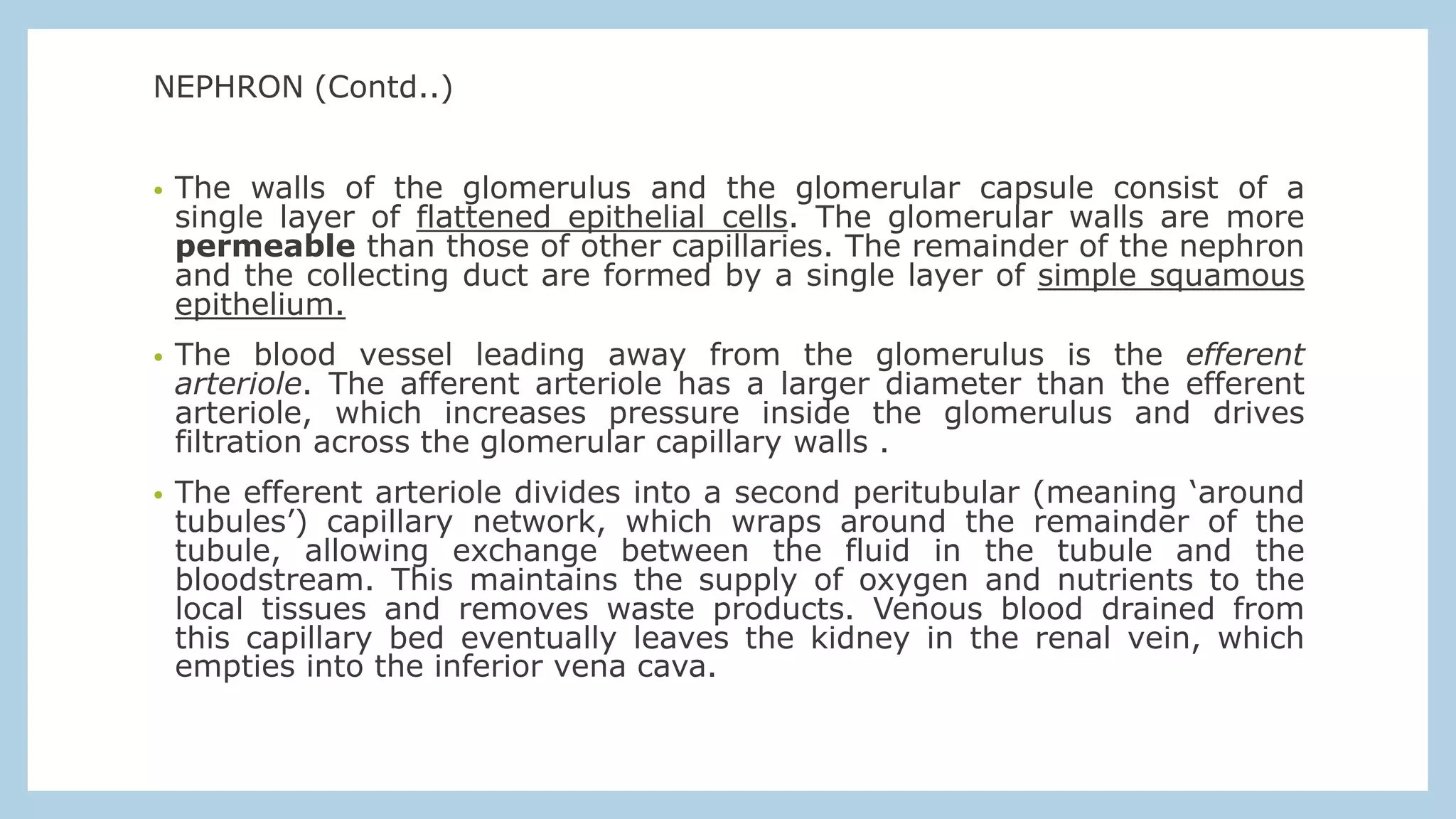 NEPHRON (Contd..)
• The walls of the glomerulus and the glomerular capsule consist of a
single layer of flattened epithelial cells. The glomerular walls are more
permeable than those of other capillaries. The remainder of the nephron
and the collecting duct are formed by a single layer of simple squamous
epithelium.
• The blood vessel leading away from the glomerulus is the efferent
arteriole. The afferent arteriole has a larger diameter than the efferent
arteriole, which increases pressure inside the glomerulus and drives
filtration across the glomerular capillary walls .
• The efferent arteriole divides into a second peritubular (meaning ‘around
tubules’) capillary network, which wraps around the remainder of the
tubule, allowing exchange between the fluid in the tubule and the
bloodstream. This maintains the supply of oxygen and nutrients to the
local tissues and removes waste products. Venous blood drained from
this capillary bed eventually leaves the kidney in the renal vein, which
empties into the inferior vena cava.
 