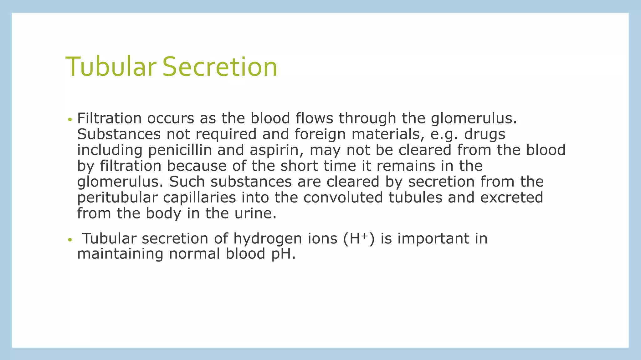 Tubular Secretion
• Filtration occurs as the blood flows through the glomerulus.
Substances not required and foreign materials, e.g. drugs
including penicillin and aspirin, may not be cleared from the blood
by filtration because of the short time it remains in the
glomerulus. Such substances are cleared by secretion from the
peritubular capillaries into the convoluted tubules and excreted
from the body in the urine.
• Tubular secretion of hydrogen ions (H+) is important in
maintaining normal blood pH.
 