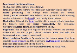 Functions of the Urinary System
The function of the kidneys are as follows:
Filter. Every day, the kidneys filter gallons of fluid from the bloodstream.
Waste processing. The kidneys then process this filtrate,
allowing wastes and excess ions to leave the body in urine while returning
needed substances to the blood in just the right proportions.
Elimination. Although the lungs and the skin also play roles in excretion,
the kidneys bear the major responsibility for eliminating
nitrogenous wastes, toxins, and drugs from the body.
Regulation. The kidneys also regulate the blood’s volume and chemical
makeup so that the proper balance between water and salts and
between acids and bases is maintained.
Other regulatory functions. By producing the enzyme renin, they help
regulate blood pressure, and their hormone erythropoietin stimulates red
blood cell production in the bone marrow.
Conversion. Kidney cells also convert vitamin D to its active form.
 