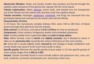 Glomerular filtration. Water and solutes smaller than proteins are forced through the
capillary walls and pores of the glomerular capsule into the renal tubule.
Tubular reabsorption. Water, glucose, amino acids, and needed ions are transported
out of the filtrate into the tubule cells and then enter the capillary blood.
Tubular secretion. Hydrogen, potassium, creatinine, and drugs are removed from the
peritubular blood and secreted by the tubule cells into the filtrate.
Characteristics of Urine
In 24 hours, the marvelously complex kidneys filter some 150 to 180 liters of blood
plasma through their glomeruli into the tubules.
Daily volume. In 24 hours, only about 1.0 to 1.8 liters of urine are produced.
Components. Urine contains nitrogenous wastes and unneeded substances.
Color. Freshly voided urine is generally clear and pale to deep yellow.
Odor. When formed, urine is sterile and slightly aromatic, but if allowed to stand, it
takes on an ammonia odor caused by the action of bacteria on the urine solutes.
pH. Urine pH is usually slightly acidic (around 6), but changes in body metabolism and
certain foods may cause it to be much more acidic or basic.
Specific gravity. Whereas the specific gravity of pure water is 1.0, the specific gravity of
urine usually ranges from 1.001 to 1.035.
Solutes. Solutes normally found in urine include sodium and potassium ions, urea, uric
acid, creatinine, ammonia, bicarbonate ions, and various other ions.
 
