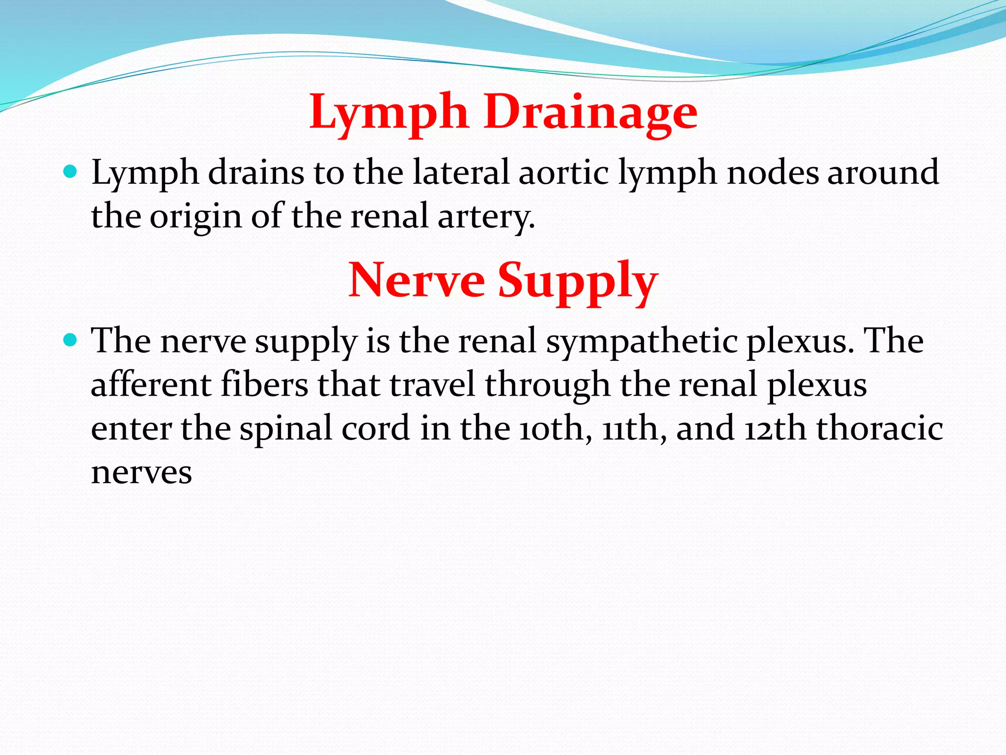 Lymph Drainage
 Lymph drains to the lateral aortic lymph nodes around
the origin of the renal artery.
Nerve Supply
 The nerve supply is the renal sympathetic plexus. The
afferent fibers that travel through the renal plexus
enter the spinal cord in the 10th, 11th, and 12th thoracic
nerves
 