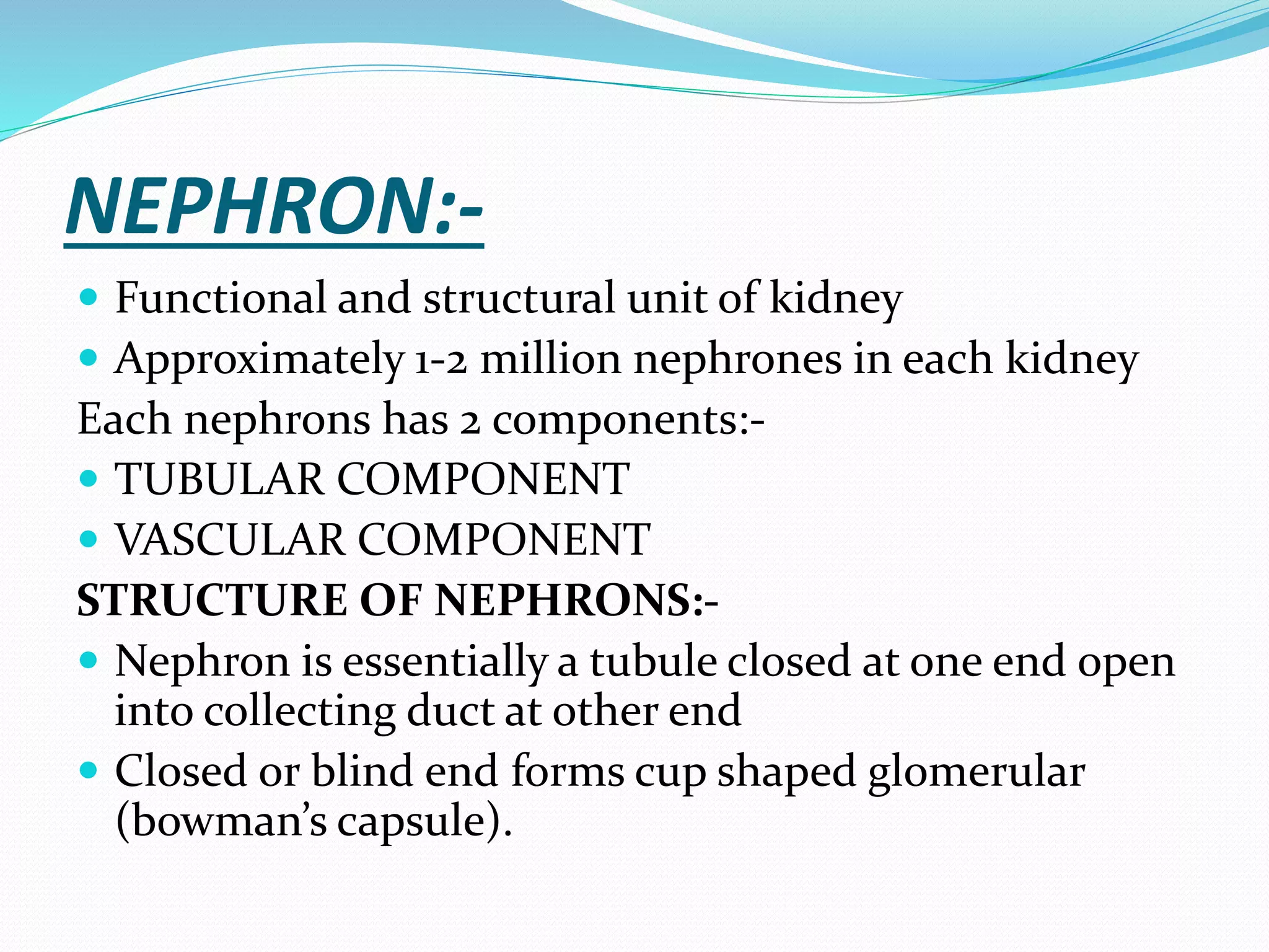 NEPHRON:-
 Functional and structural unit of kidney
 Approximately 1-2 million nephrones in each kidney
Each nephrons has 2 components:-
 TUBULAR COMPONENT
 VASCULAR COMPONENT
STRUCTURE OF NEPHRONS:-
 Nephron is essentially a tubule closed at one end open
into collecting duct at other end
 Closed or blind end forms cup shaped glomerular
(bowman’s capsule).
 