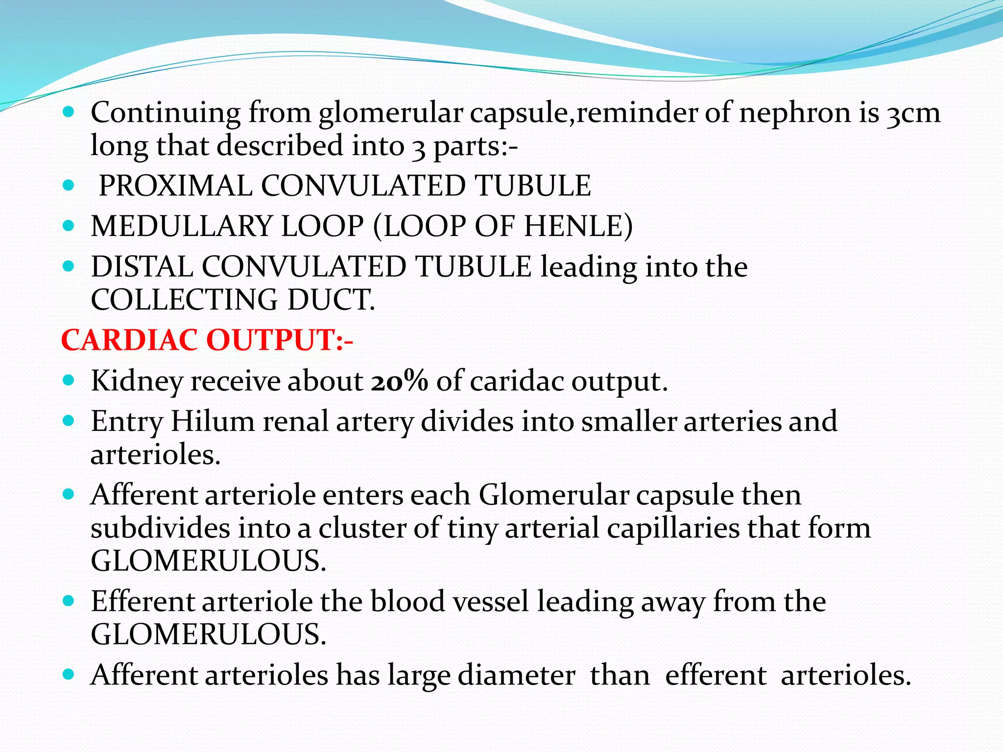  Continuing from glomerular capsule,reminder of nephron is 3cm
long that described into 3 parts:-
 PROXIMAL CONVULATED TUBULE
 MEDULLARY LOOP (LOOP OF HENLE)
 DISTAL CONVULATED TUBULE leading into the
COLLECTING DUCT.
CARDIAC OUTPUT:-
 Kidney receive about 20% of caridac output.
 Entry Hilum renal artery divides into smaller arteries and
arterioles.
 Afferent arteriole enters each Glomerular capsule then
subdivides into a cluster of tiny arterial capillaries that form
GLOMERULOUS.
 Efferent arteriole the blood vessel leading away from the
GLOMERULOUS.
 Afferent arterioles has large diameter than efferent arterioles.
 