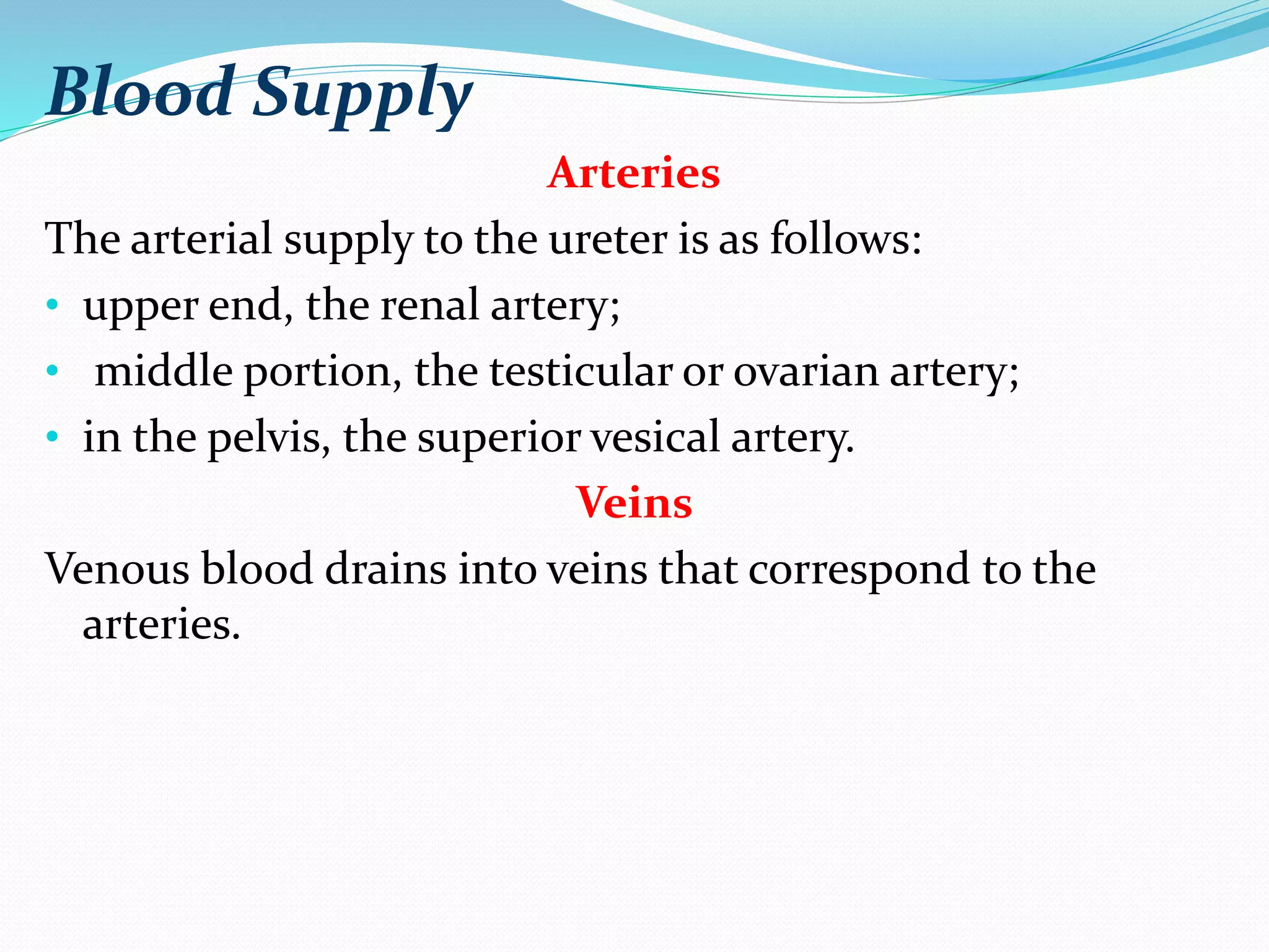 Blood Supply
Arteries
The arterial supply to the ureter is as follows:
• upper end, the renal artery;
• middle portion, the testicular or ovarian artery;
• in the pelvis, the superior vesical artery.
Veins
Venous blood drains into veins that correspond to the
arteries.
 