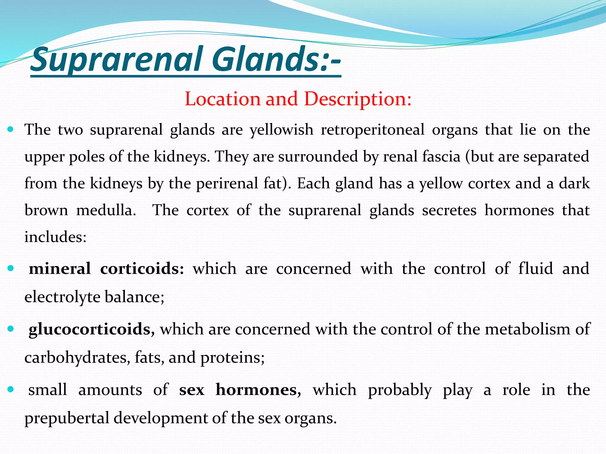 Suprarenal Glands:-
Location and Description:
 The two suprarenal glands are yellowish retroperitoneal organs that lie on the
upper poles of the kidneys. They are surrounded by renal fascia (but are separated
from the kidneys by the perirenal fat). Each gland has a yellow cortex and a dark
brown medulla. The cortex of the suprarenal glands secretes hormones that
includes:
 mineral corticoids: which are concerned with the control of fluid and
electrolyte balance;
 glucocorticoids, which are concerned with the control of the metabolism of
carbohydrates, fats, and proteins;
 small amounts of sex hormones, which probably play a role in the
prepubertal development of the sex organs.
 