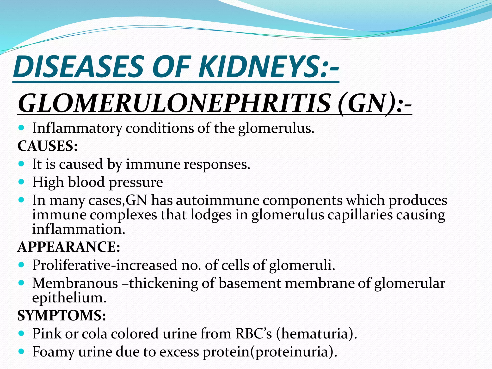 DISEASES OF KIDNEYS:-
GLOMERULONEPHRITIS (GN):-
 Inflammatory conditions of the glomerulus.
CAUSES:
 It is caused by immune responses.
 High blood pressure
 In many cases,GN has autoimmune components which produces
immune complexes that lodges in glomerulus capillaries causing
inflammation.
APPEARANCE:
 Proliferative-increased no. of cells of glomeruli.
 Membranous –thickening of basement membrane of glomerular
epithelium.
SYMPTOMS:
 Pink or cola colored urine from RBC’s (hematuria).
 Foamy urine due to excess protein(proteinuria).
 