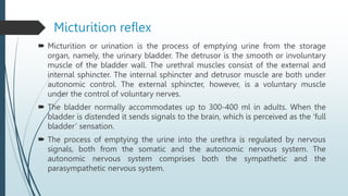 Micturition reflex
 Micturition or urination is the process of emptying urine from the storage
organ, namely, the urinary bladder. The detrusor is the smooth or involuntary
muscle of the bladder wall. The urethral muscles consist of the external and
internal sphincter. The internal sphincter and detrusor muscle are both under
autonomic control. The external sphincter, however, is a voluntary muscle
under the control of voluntary nerves.
 The bladder normally accommodates up to 300-400 ml in adults. When the
bladder is distended it sends signals to the brain, which is perceived as the ‘full
bladder’ sensation.
 The process of emptying the urine into the urethra is regulated by nervous
signals, both from the somatic and the autonomic nervous system. The
autonomic nervous system comprises both the sympathetic and the
parasympathetic nervous system.
 