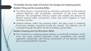 The bladder has two states of function; the storage and emptying phases.
Bladder Filling and the Guarding Reflex
 The filling phase is characterized by voluntary contraction of the external
urethral sphincter, with sympathetic contraction of the inner urethral
sphincter. The sympathetic nervous system also enables the detrusor to
distend without reflex contractions, unlike that which happens in most
voluntary muscles.
 Urethral reflexes, called ‘the guarding reflex,’ also play a part in inhibiting
involuntary bladder emptying during this process. The afferents are all
conveyed through the pelvic nerves to initiate a spinal reflex.
Bladder Emptying and the Micturition Reflex
 The micturition or emptying phase displays a coordinated relaxation of the
inner and outer urethral sphincters, under sympathetic and somatic
regulation respectively, with strong contractions of the detrusor muscle
due to parasympathetic impulses.
 