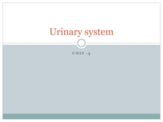 U N I T - 3
Urinary system
 