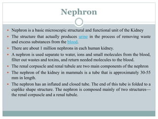 Nephron
 Nephron is a basic microscopic structural and functional unit of the Kidney
 The structure that actually produces urine in the process of removing waste
and excess substances from the blood.
 There are about 1 million nephrons in each human kidney.
 A nephron is used separate to water, ions and small molecules from the blood,
filter out wastes and toxins, and return needed molecules to the blood.
 The renal corpuscle and renal tubule are two main components of the nephron
 The nephron of the kidney in mammals is a tube that is approximately 30-55
mm in length.
 The nephron has an inflated and closed tube. The end of this tube is folded to a
cuplike shape structure. The nephron is composed mainly of two structures—
the renal corpuscle and a renal tubule.
 