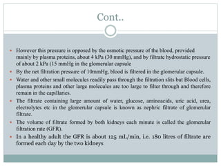 Cont..
 However this pressure is opposed by the osmotic pressure of the blood, provided
mainly by plasma proteins, about 4 kPa (30 mmHg), and by filtrate hydrostatic pressure
of about 2 kPa (15 mmHg in the glomerular capsule
 By the net filtration pressure of 10mmHg, blood is filtered in the glomerular capsule.
 Water and other small molecules readily pass through the filtration slits but Blood cells,
plasma proteins and other large molecules are too large to filter through and therefore
remain in the capillaries.
 The filtrate containing large amount of water, glucose, aminoacids, uric acid, urea,
electrolytes etc in the glomerular capsule is known as nephric filtrate of glomerular
filtrate.
 The volume of filtrate formed by both kidneys each minute is called the glomerular
filtration rate (GFR).
 In a healthy adult the GFR is about 125 mL/min, i.e. 180 litres of filtrate are
formed each day by the two kidneys
 