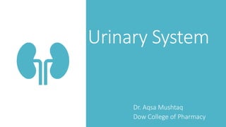 Urinary System
Dr. Aqsa Mushtaq
Dow College of Pharmacy
 