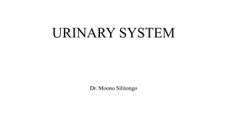 URINARY SYSTEM
Dr. Moono Silitongo
 
