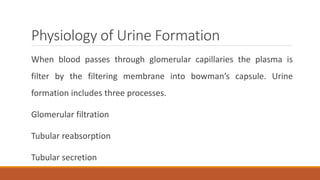 Physiology of Urine Formation
When blood passes through glomerular capillaries the plasma is
filter by the filtering membrane into bowman’s capsule. Urine
formation includes three processes.
Glomerular filtration
Tubular reabsorption
Tubular secretion
 
