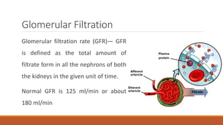Glomerular Filtration
Glomerular filtration rate (GFR)— GFR
is defined as the total amount of
filtrate form in all the nephrons of both
the kidneys in the given unit of time.
Normal GFR is 125 ml/min or about
180 ml/min
 