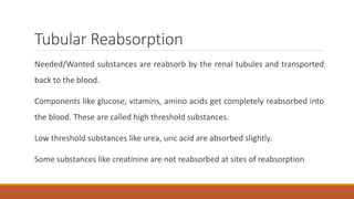 Tubular Reabsorption
Needed/Wanted substances are reabsorb by the renal tubules and transported
back to the blood.
Components like glucose, vitamins, amino acids get completely reabsorbed into
the blood. These are called high threshold substances.
Low threshold substances like urea, uric acid are absorbed slightly.
Some substances like creatinine are not reabsorbed at sites of reabsorption
 