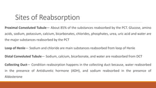 Sites of Reabsorption
Proximal Convoluted Tubule— About 85% of the substances reabsorbed by the PCT. Glucose, amino
acids, sodium, potassium, calcium, bicarbonates, chlorides, phosphates, urea, uric acid and water are
the major substances reabsorbed by the PCT
Loop of Henle— Sodium and chloride are main substances reabsorbed from loop of Henle
Distal Convoluted Tubule— Sodium, calcium, bicarbonate, and water are reabsorbed from DCT
Collecting Duct— Condition reabsorption happens in the collecting duct because, water reabsorbed
in the presence of Antidiuretic hormone (ADH), and sodium reabsorbed in the presence of
Aldosterone
 