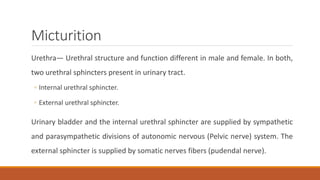 Micturition
Urethra— Urethral structure and function different in male and female. In both,
two urethral sphincters present in urinary tract.
◦ Internal urethral sphincter.
◦ External urethral sphincter.
Urinary bladder and the internal urethral sphincter are supplied by sympathetic
and parasympathetic divisions of autonomic nervous (Pelvic nerve) system. The
external sphincter is supplied by somatic nerves fibers (pudendal nerve).
 