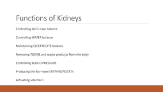 Functions of Kidneys
Controlling ACID-base balance
Controlling WATER balance
Maintaining ELECTROLYTE balance
Removing TOXINS and waste products from the body
Controlling BLOOD PRESSURE
Producing the hormone ERYTHROPOIETIN
Activating vitamin D
 