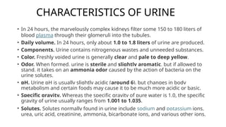 CHARACTERISTICS OF URINE
• In 24 hours, the marvelously complex kidneys filter some 150 to 180 liters of
blood plasma through their glomeruli into the tubules.
• Daily volume. In 24 hours, only about 1.0 to 1.8 liters of urine are produced.
• Components. Urine contains nitrogenous wastes and unneeded substances.
• Color. Freshly voided urine is generally clear and pale to deep yellow.
• Odor. When formed, urine is sterile and slightly aromatic, but if allowed to
stand, it takes on an ammonia odor caused by the action of bacteria on the
urine solutes.
• pH. Urine pH is usually slightly acidic (around 6), but changes in body
metabolism and certain foods may cause it to be much more acidic or basic.
• Specific gravity. Whereas the specific gravity of pure water is 1.0, the specific
gravity of urine usually ranges from 1.001 to 1.035.
• Solutes. Solutes normally found in urine include sodium and potassium ions,
urea, uric acid, creatinine, ammonia, bicarbonate ions, and various other ions.
 