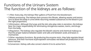 Functions of the Urinary System
The function of the kidneys are as follows:
• 1.Filter. Every day, the kidneys filter gallons of fluid from the bloodstream.
• 2.Waste processing. The kidneys then process this filtrate, allowing wastes and excess
ions to leave the body in urine while returning needed substances to the blood in just
the right proportions.
• 3.Elimination. Although the lungs and the skin also play roles in excretion, the kidneys
bear the major responsibility for eliminating nitrogenous wastes, toxins, and drugs
from the body.
• 4.Regulation. The kidneys also regulate the blood’s volume and chemical makeup so
that the proper balance between water and salts and between acids and bases is
maintained.
• 5.Other regulatory functions. By producing the enzyme renin, they help regulate blood
pressure, and their hormone erythropoietin stimulates red blood cell production in the
bone marrow.
• 6.Conversion. Kidney cells also convert vitamin D to its active form.
 