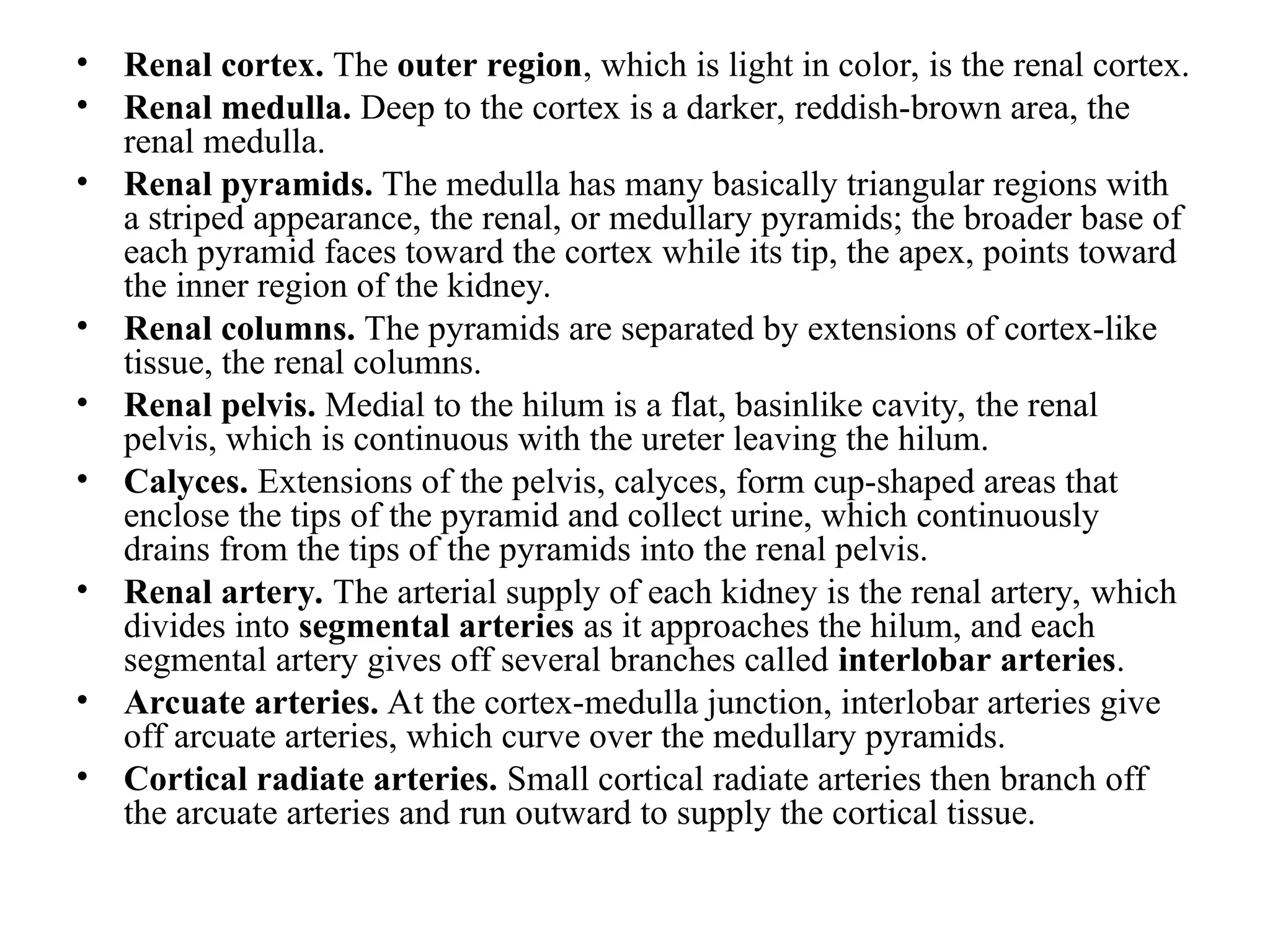 • Renal cortex. The outer region, which is light in color, is the renal cortex.
• Renal medulla. Deep to the cortex is a darker, reddish-brown area, the
renal medulla.
• Renal pyramids. The medulla has many basically triangular regions with
a striped appearance, the renal, or medullary pyramids; the broader base of
each pyramid faces toward the cortex while its tip, the apex, points toward
the inner region of the kidney.
• Renal columns. The pyramids are separated by extensions of cortex-like
tissue, the renal columns.
• Renal pelvis. Medial to the hilum is a flat, basinlike cavity, the renal
pelvis, which is continuous with the ureter leaving the hilum.
• Calyces. Extensions of the pelvis, calyces, form cup-shaped areas that
enclose the tips of the pyramid and collect urine, which continuously
drains from the tips of the pyramids into the renal pelvis.
• Renal artery. The arterial supply of each kidney is the renal artery, which
divides into segmental arteries as it approaches the hilum, and each
segmental artery gives off several branches called interlobar arteries.
• Arcuate arteries. At the cortex-medulla junction, interlobar arteries give
off arcuate arteries, which curve over the medullary pyramids.
• Cortical radiate arteries. Small cortical radiate arteries then branch off
the arcuate arteries and run outward to supply the cortical tissue.
 