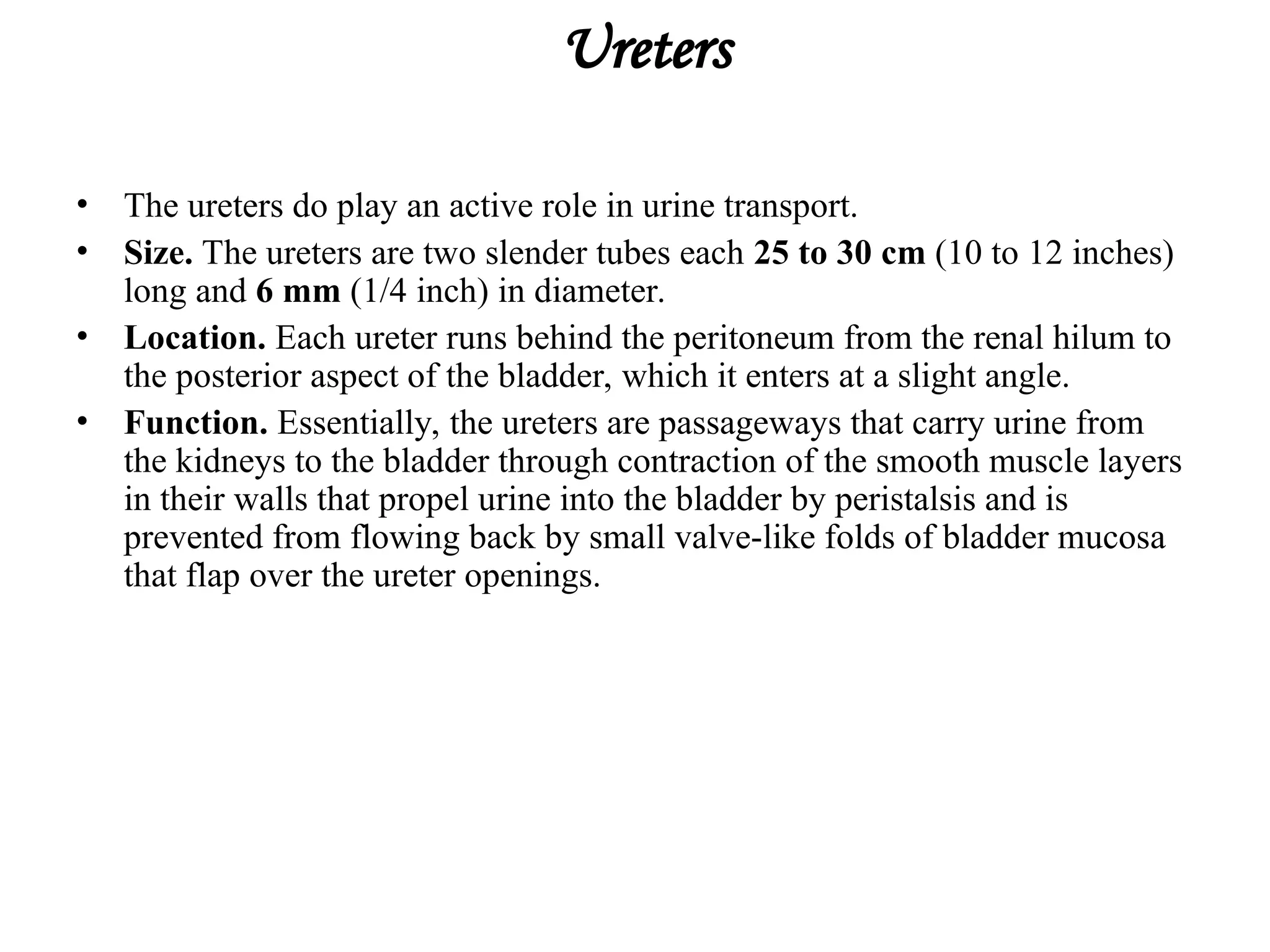 Ureters
• The ureters do play an active role in urine transport.
• Size. The ureters are two slender tubes each 25 to 30 cm (10 to 12 inches)
long and 6 mm (1/4 inch) in diameter.
• Location. Each ureter runs behind the peritoneum from the renal hilum to
the posterior aspect of the bladder, which it enters at a slight angle.
• Function. Essentially, the ureters are passageways that carry urine from
the kidneys to the bladder through contraction of the smooth muscle layers
in their walls that propel urine into the bladder by peristalsis and is
prevented from flowing back by small valve-like folds of bladder mucosa
that flap over the ureter openings.
 