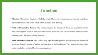 Function
Filtration: The primary function of the kidneys is to filter waste products, excess ions, and water from
the bloodstream to form urine, which is then excreted from the body.
Fluid and Electrolyte Balance: The kidneys regulate the balance of fluids and electrolytes in the
body, ensuring that levels of substances like sodium, potassium, and calcium remain within a narrow
range necessary for proper cellular function.
Blood Pressure Regulation: The kidneys help regulate blood pressure by controlling the volume of
blood and the concentration of sodium and other ions in the bloodstream. They produce hormones like
renin, which plays a role in blood pressure regulation.
 