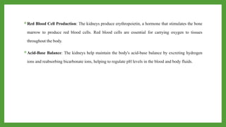 Red Blood Cell Production: The kidneys produce erythropoietin, a hormone that stimulates the bone
marrow to produce red blood cells. Red blood cells are essential for carrying oxygen to tissues
throughout the body.
Acid-Base Balance: The kidneys help maintain the body's acid-base balance by excreting hydrogen
ions and reabsorbing bicarbonate ions, helping to regulate pH levels in the blood and body fluids.
 