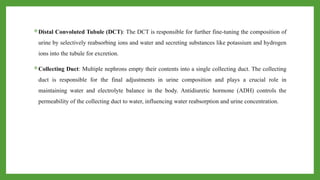 Distal Convoluted Tubule (DCT): The DCT is responsible for further fine-tuning the composition of
urine by selectively reabsorbing ions and water and secreting substances like potassium and hydrogen
ions into the tubule for excretion.
Collecting Duct: Multiple nephrons empty their contents into a single collecting duct. The collecting
duct is responsible for the final adjustments in urine composition and plays a crucial role in
maintaining water and electrolyte balance in the body. Antidiuretic hormone (ADH) controls the
permeability of the collecting duct to water, influencing water reabsorption and urine concentration.
 