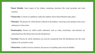 Renal Medulla: Inner region of the kidney containing structures like renal pyramids and renal
columns.
Glomerulus: A cluster of capillaries within the nephron where blood filtration takes place.
Filtration: The process by which blood is filtered in the kidneys, removing waste products and excess
substances to form urine.
Reabsorption: Process by which useful substances such as water, electrolytes, and nutrients are
reabsorbed from the filtrate back into the bloodstream.
Secretion: Process by which substances are actively transported from the bloodstream into the renal
tubules to be excreted in urine.
Micturition: Another term for urination, the process of expelling urine from the bladder.
 