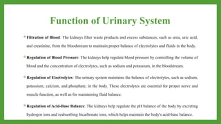 Function of Urinary System
Filtration of Blood: The kidneys filter waste products and excess substances, such as urea, uric acid,
and creatinine, from the bloodstream to maintain proper balance of electrolytes and fluids in the body.
Regulation of Blood Pressure: The kidneys help regulate blood pressure by controlling the volume of
blood and the concentration of electrolytes, such as sodium and potassium, in the bloodstream.
Regulation of Electrolytes: The urinary system maintains the balance of electrolytes, such as sodium,
potassium, calcium, and phosphate, in the body. These electrolytes are essential for proper nerve and
muscle function, as well as for maintaining fluid balance.
Regulation of Acid-Base Balance: The kidneys help regulate the pH balance of the body by excreting
hydrogen ions and reabsorbing bicarbonate ions, which helps maintain the body's acid-base balance.
 