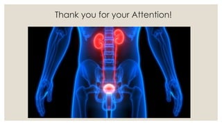 Thank you for your Attention!
 