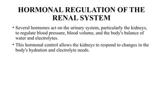 The urinary system is responsible for the formation, storage, and ...